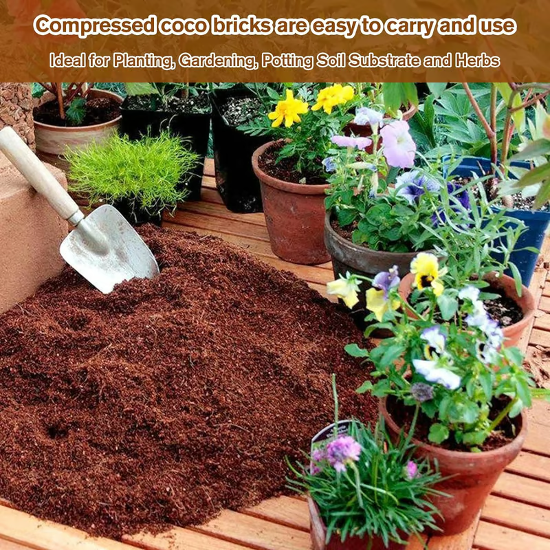 🔥 LAST DAY 49% OFF 🌱 Premium Organic Coconut Coir Bricks For Plants
