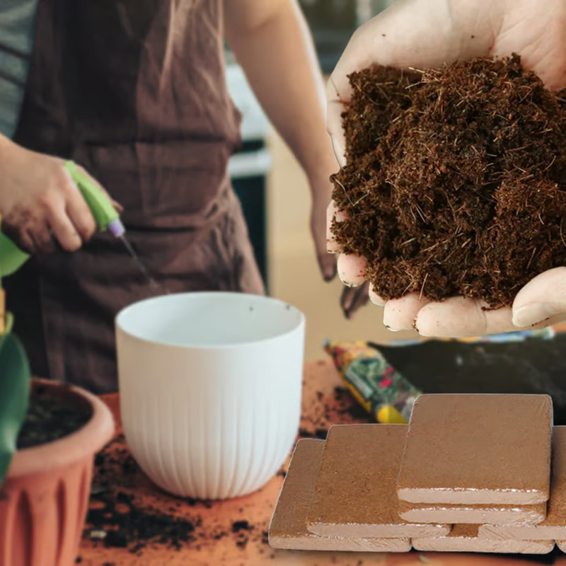 🔥 LAST DAY 49% OFF 🌱 Premium Organic Coconut Coir Bricks For Plants