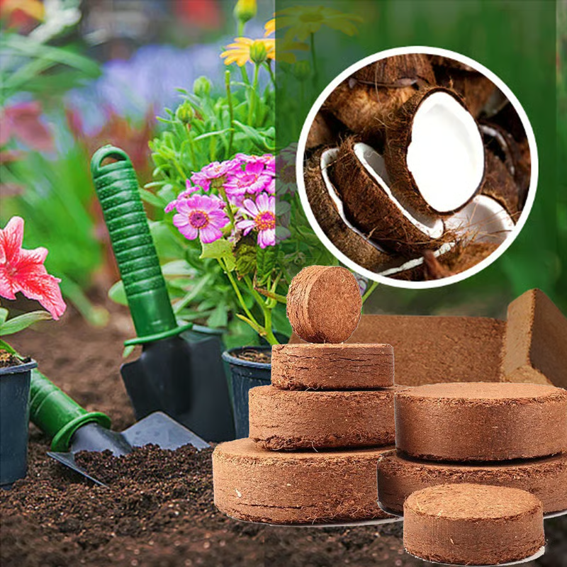 🔥 LAST DAY 49% OFF 🌱 Premium Organic Coconut Coir Bricks For Plants