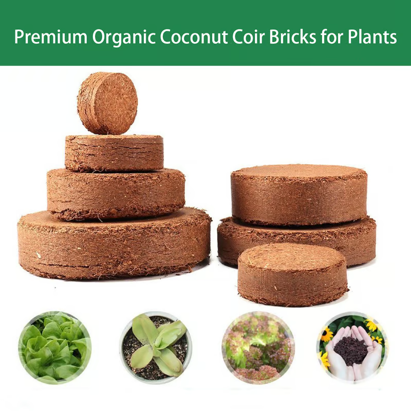 🔥 LAST DAY 49% OFF 🌱 Premium Organic Coconut Coir Bricks For Plants